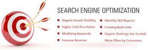 Top SEO Expert in Lahore 